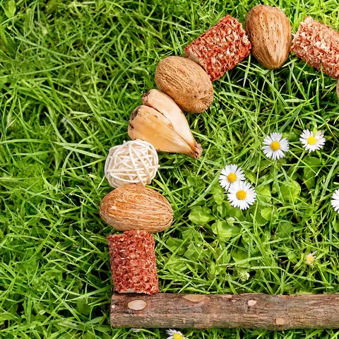 Legno di Zanthoxylum Naturale Giocattolo da Masticare e Arrampicarsi per Pappagallo Altalena Pigna Decorazione Sospesa Gabbia per Uccelli