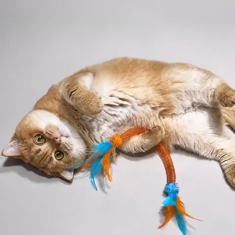 Giocattolo Elastico per Gatti Articoli Interattivi per Animali Domestici Con Piume Palla di Erba Gatta e Corda da Masticare