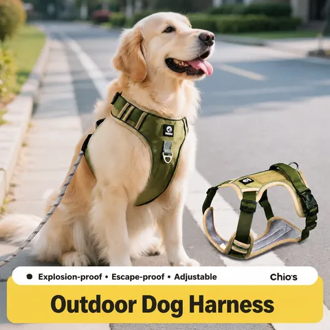Grande Cane Stile Gilet Antitrazione Regolabile Tessuto Oxford Imbracatura E Set Guinzaglio Per Animali Domestici Per Passeggiate