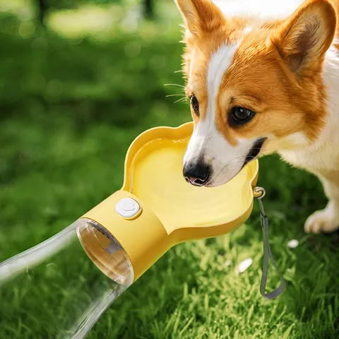 Portable Pet Water Bottle Dog Travel Water Dispenser Cat Drinking Cup Outdoor Leakproof Puppy Waterer Pet Feeding Supplies
