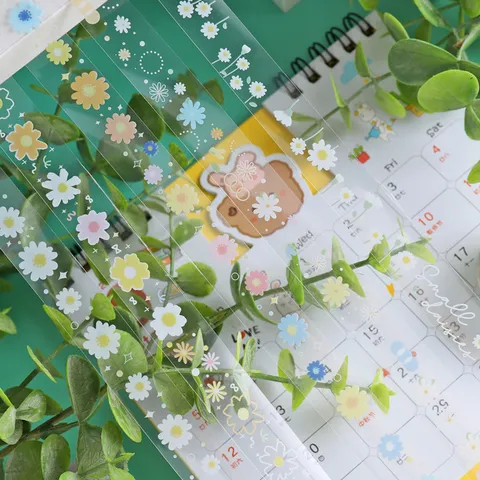 Transparant PET Washi Tape Set Creatief Journal Decoratieve Stickers Scrapbook Esthetische Kantoorbenodigdheden Geschenkdoos