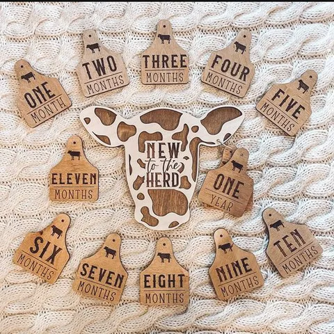 Highland Cow Milestone Markers Wooden Baby Growth Record Sign Newborn Monthly Milestone Cards Wooden Craft Hanging Plaque