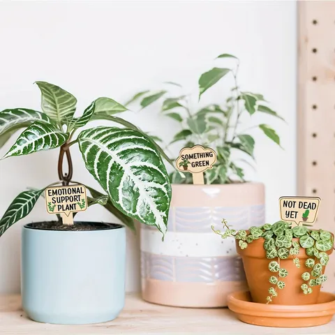 Etichette per Piante in Legno e Cartelli da Giardino Colorati con Citazioni Divertenti per Piante Grasse e in Vaso