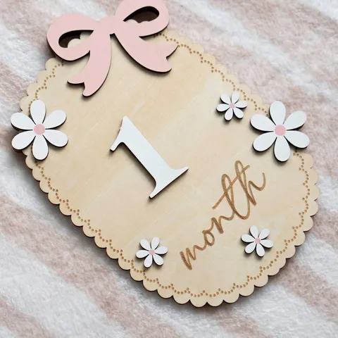 Wooden Baby Milestone Cards Birth Month Discs With Daisy Pink Bow Ornament For Newborn Photography Props Milestone Signs Decor
