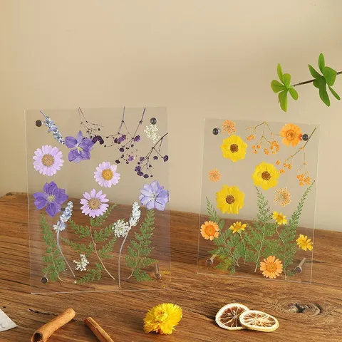 Noords Minimalistisch Transparant Acryl Gedroogde Bloem Fotolijst DIY Specimen Display Standaard Huisdecoratie