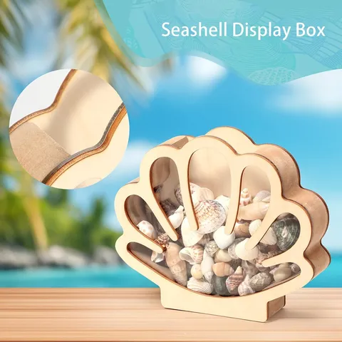 Caja de Almacenamiento de Madera en Forma de Concha Estilo Playa Caja de Exhibición Decorativa para Escritorio Colección de Pequeñas Conchas Decoración del Hogar