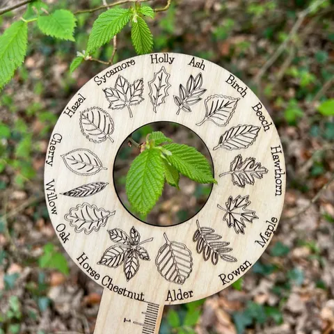 Outdoor Creative Wooden Leaf Identification Ruler Botanical Science Observation Tray Nature Exploration Craft Tool