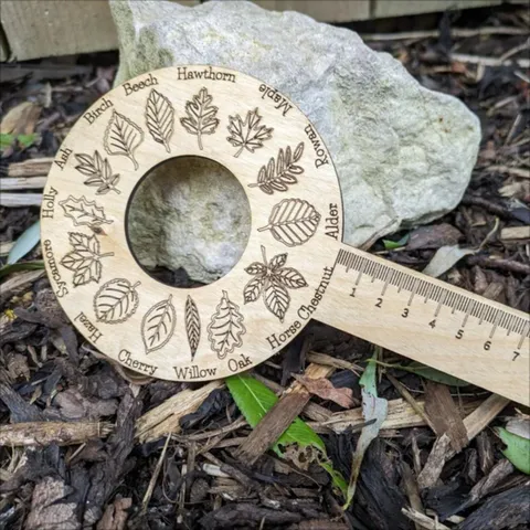 Outdoor Creative Wooden Leaf Identification Ruler Botanical Science Observation Tray Nature Exploration Craft Tool