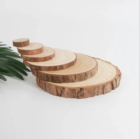 Natural Wooden Slices Micro Landscape Ornaments DIY Crafts Tree Wood Pieces For Flower Pots Base Home Decor