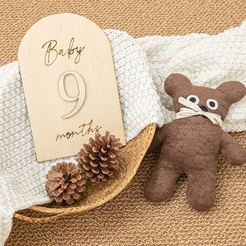 Disco Milestone per Neonati in Legno Segno di Registrazione dell'Età Mensile Puntelli di Fotografia in Legno Naturale Arredamento per la Stanza dei Bambini