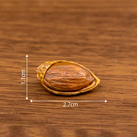 Modelo de Frutos Secos de Simulación de Resina en Miniatura Decoración de Micro-Paisaje DIY Adorno de Escritorio Juguete de Comida