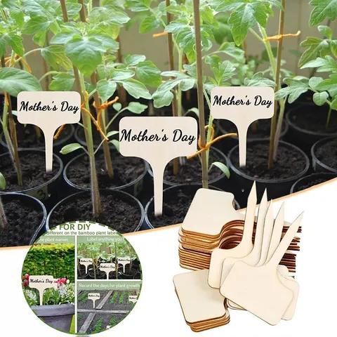 Hölzerne Pflanzenetiketten T-förmige Pflanzenschilder Markierungen Für Garten Topfblumen Sukkulenten Buchenholz DIY Schreibpflanzenmarkierungen