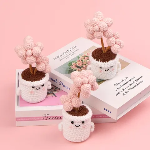 Plante Succulente en Pot au Crochet Faite Main Fil Tissé Oeuf de Pêche Pot à Visage Souriant Décoration de Bureau Cadeau Maison