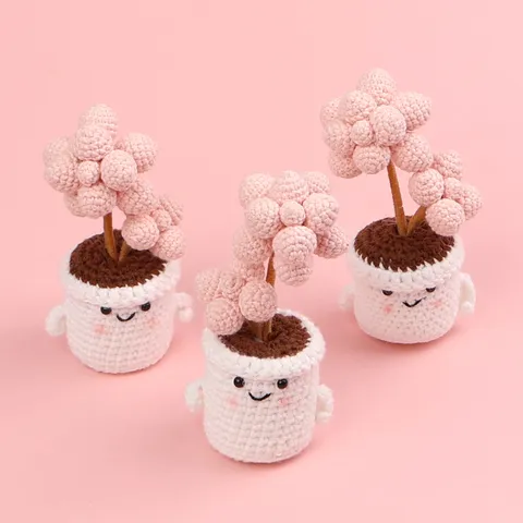 Plante Succulente en Pot au Crochet Faite Main Fil Tissé Oeuf de Pêche Pot à Visage Souriant Décoration de Bureau Cadeau Maison