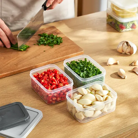 Boîte De Conservation Japonaise En PP Organisateur De Réfrigérateur Micro-Ondes Pour Riz Petite Boîte À Déjeuner Moderne Minimaliste Conteneurs De Préparation De Repas Sains