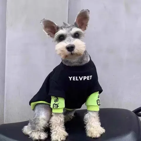 Winter Warm Thickened Pet Fleece Lined Hoodie Small Dog Cat Sweatshirt Casual Polyester Pullover Apparel