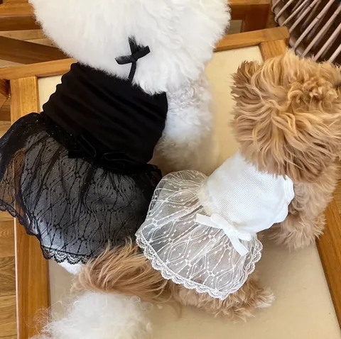 Spring Summer Small Dog Cat Polyester Lace Strap Dress Cute Bowknot Princess Skirt Puppy Apparel Pet Clothes