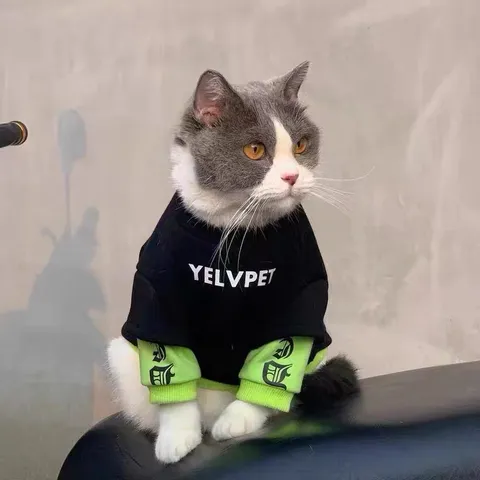 Winter Warm Thickened Pet Fleece Lined Hoodie Small Dog Cat Sweatshirt Casual Polyester Pullover Apparel