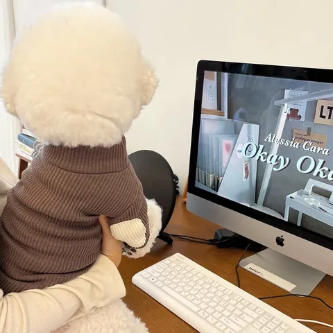 Pet Dog Sweatshirt Cute Puppy Pullover Small Dog Clothes Soft Fleece Warm Cat Apparel Fall Winter Pet Supplies