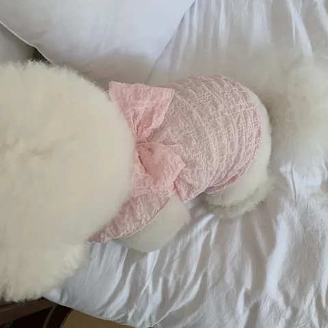 Summer Thin Breathable Pet Dress Cute Butterfly Bow Bubble Sleeve Princess Skirt For Small Dogs Cats Puppy Apparel Pet Clothes