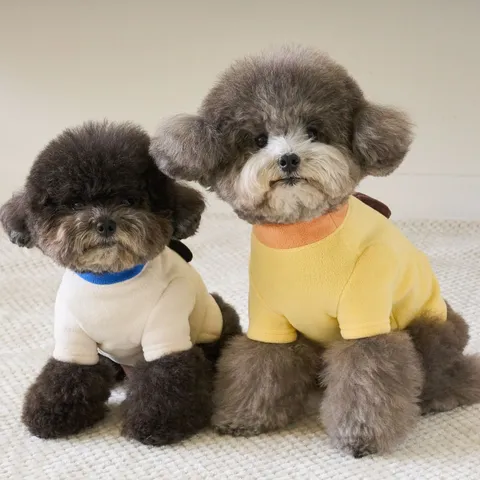 Autumn Winter Warm Pet Fleece Clothes Cute 3D Ears Cartoon Dog Hoodie Thickened Apparel For Small Dogs Puppy