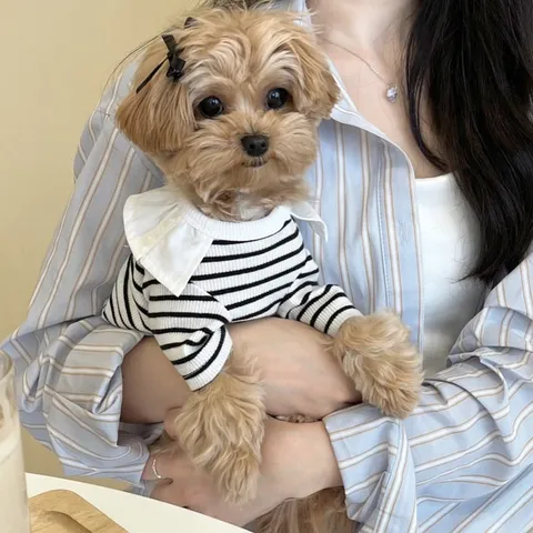 Spring Summer Dog Dress Vest Cute Black And White Striped Puppy Clothes Pet Apparel Small Dog Cat Bowknot Vest Dress
