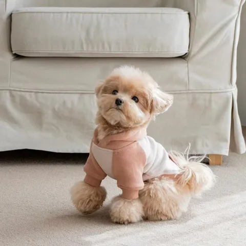 Small Dog Hoodie Sweatshirt Pet Warm Winter Clothes Colorblock Fleece Apparel
