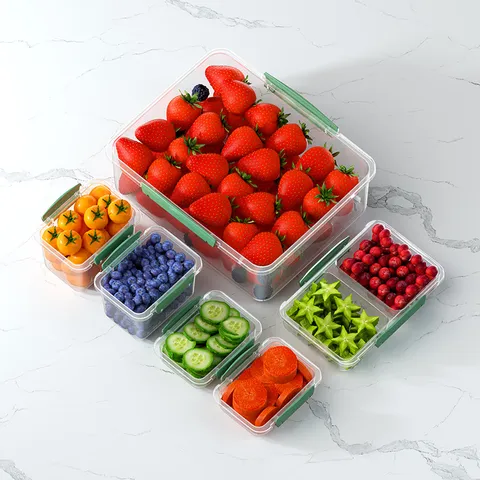 Food Grade PP Plastic Sealed Fresh Keeping Box With Compartments Portable Handle Refrigerator Storage Container