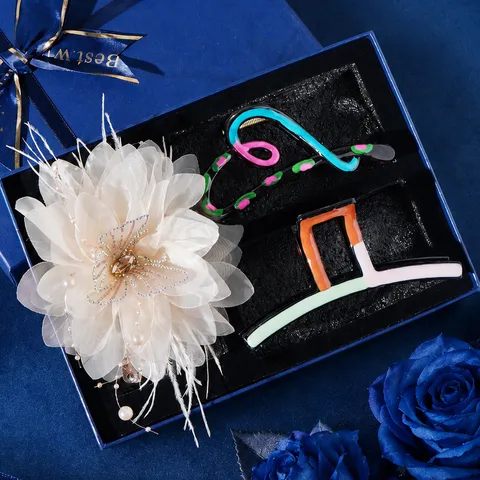 Boîte Cadeau de Pince à Cheveux en Plastique et Alliage de Zinc pour Femmes Ensemble d'Accessoires de Coiffure Clip Requin Cadeau Saint-Valentin