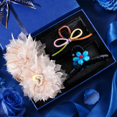 Boîte Cadeau de Pince à Cheveux en Plastique et Alliage de Zinc pour Femmes Ensemble d'Accessoires de Coiffure Clip Requin Cadeau Saint-Valentin
