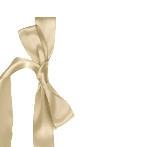 Fai da te Nastro di Raso Accessorio Per Matrimonio Vows Carte Buste Biglietti d'Auguri Elegante Confezione Regalo Arredo Solo Nastro