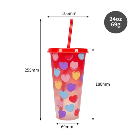 Tasse en Plastique Changeant de Couleur à Froid de la Saint-Valentin Grande Capacité Gobelet à Paille Réutilisable Bouteille d'Eau