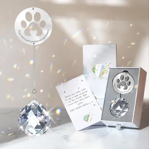 Attrape-Soleil en Cristal Mémorial Animaux Patte de Chat Prisme Arc-en-Ciel Fenêtre Ornement Avec Boîte Cadeau