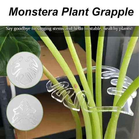Acrylic Plant Support Ring Monstera Leaf Stem Fixed Holder Transparent Garden Vine Climbing Support Stake Decor