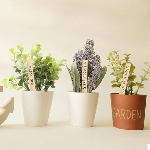 Ξύλινες Ετικέτες Φυτών Μαρκαδόροι Κήπου DIY Ξύλινοι Πασάλλοι Για Γλάστρες Παχύφυτα