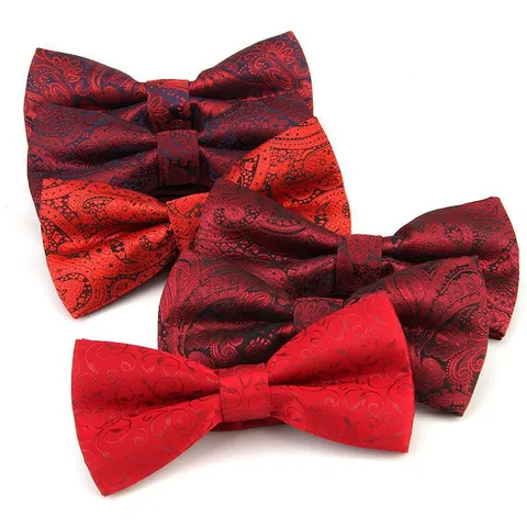 Men's Formal Bowtie And Pocket Square Classic Paisley Jacquard Polyester Neckwear For Wedding Business