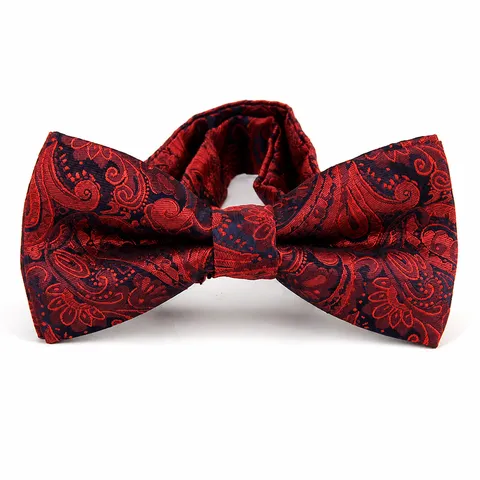 Men's Paisley Bowtie Formal Business Wedding Groom Banquet Jacquard Bow Tie Polyester