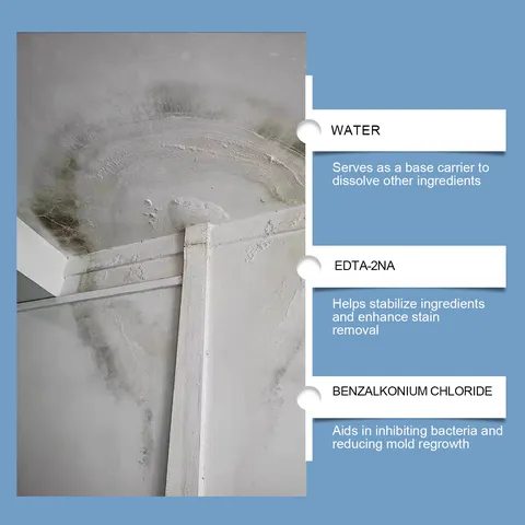 Jakehoe Spray Dissolu-Taches Mural Nettoyant Anti-Moisissure Sûr et Efficace Pour Maison Salle de Bain Nettoyage Quotidien