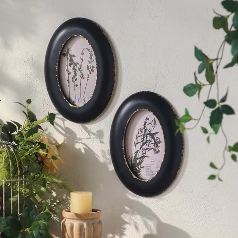 Vintage Wabi-Sabi Style Wall Hanging Decorative Painting Retro Oval Black Frame Plant Specimen Art Print Picture For Home Living Room Dining Room
