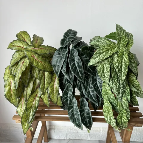 Artificial Calathea Leaf Wall Hanging Green Plant Fake Foliage For Indoor Home Decor Wedding Floral Arrangement