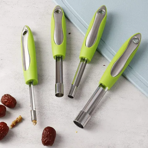 Ensemble de Dénoyauteurs de Fruits en Acier Inoxydable pour Dattes Rouges Aubépine Pomme avec Poignée en Plastique
