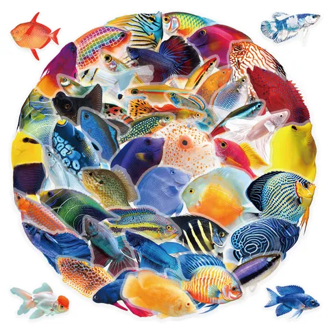 Transparent PET Marine Animal Colorful Fish Graffiti Stickers Waterproof Decorative Decals For Phone Laptop