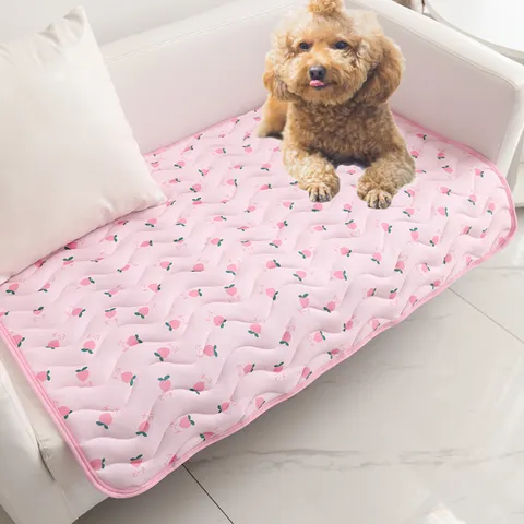 Summer Pet Cooling Mat Ice Silk Breathable Dog Cat Sofa Cushion Cute Fruit Pattern Portable Pet Sleeping Mat