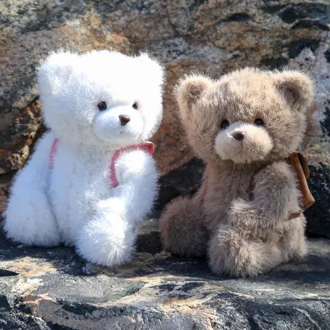 Süßes Plüsch Teddybär Stofftier Spielzeug Mit Abnehmbarem Mini Rucksack Weiche Puppe Geburtstagsgeschenk Für Kinder