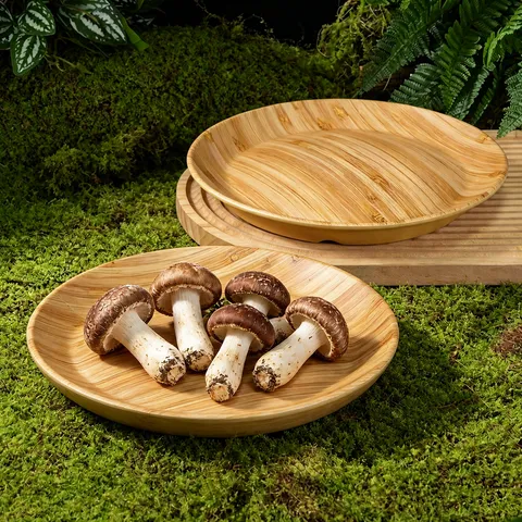 Assiette Plate Ronde en Mélamine Commerciale Plateau de Service Imitation Bois pour Restaurant Hot Pot Vaisselle