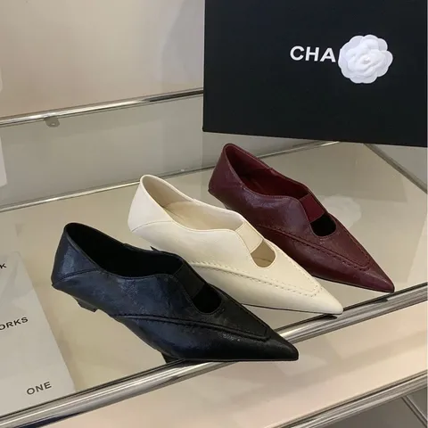 Mujeres Estilo Coreano Vintage Punta Puntiaguda Zapatos Planos Casual Versátil Sin Cierres Diario Tacón Bajo Mary Jane Zapatos