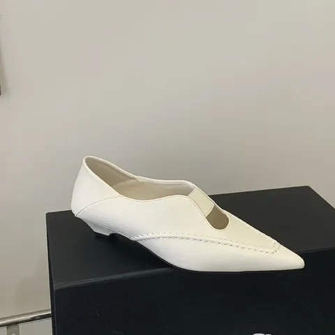 Mujeres Estilo Coreano Vintage Punta Puntiaguda Zapatos Planos Casual Versátil Sin Cierres Diario Tacón Bajo Mary Jane Zapatos