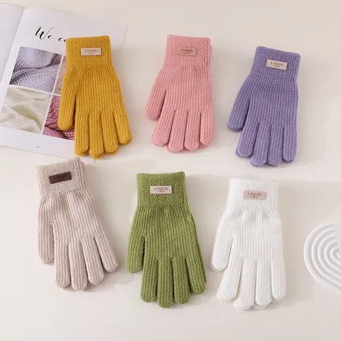 Winter Warm Knit Touch Screen Gloves Women Men Cute Riding Cold-Proof Fleece Thickened Full-Finger Gloves