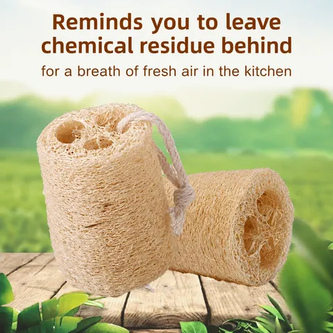 Natural Luffa Dishwashing Sponge Plant Fiber Kitchen Cleaning Scrub Pad With Lanyard