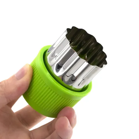 Stainless Steel Vegetable Fruit Cutter Cookie Mold Biscuit Embossing Tool Mold Set for Kitchen